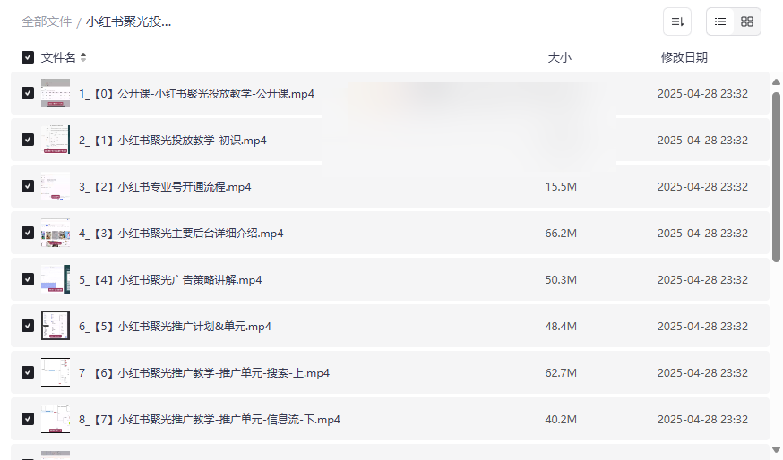 《小红书聚光投放从入门到精通》实战教程网盘资源下载-云盘资源分享