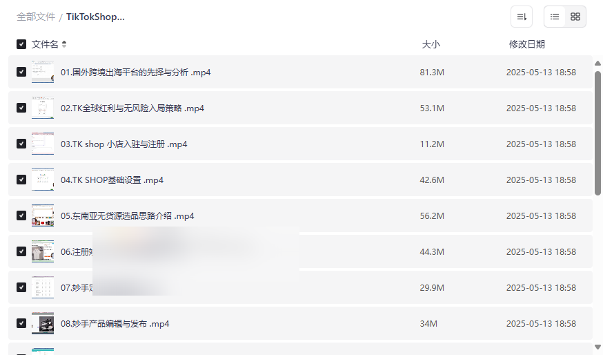 《TikTokShop跨境电商0-1实战教程》免费网盘资源下载-云盘资源分享