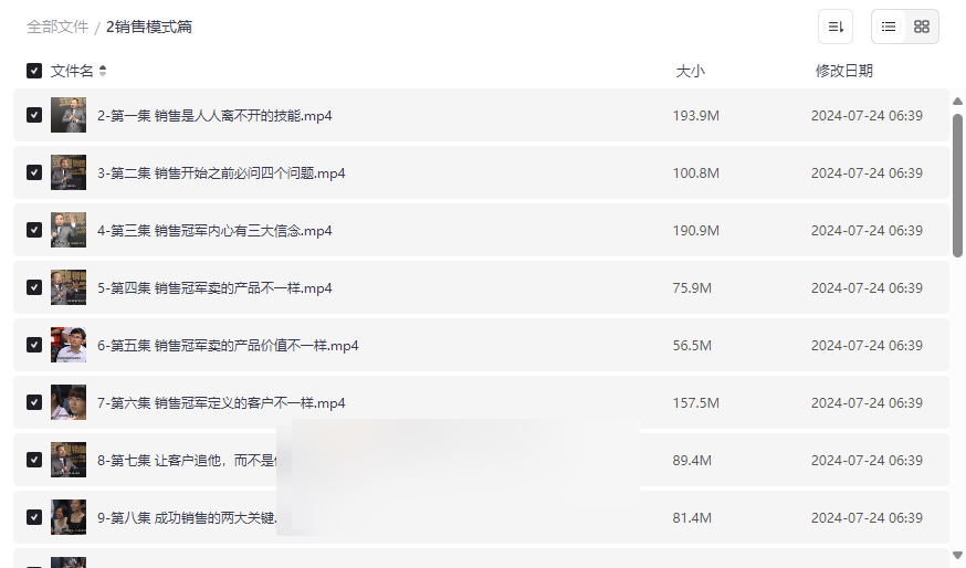 《销售模式篇》金牌销售培训资源包系统提升成交率与团队业绩-云盘资源分享