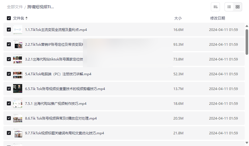 《TikTok跨境变现0基础到精通套课》免费网盘资源下载-云盘资源分享