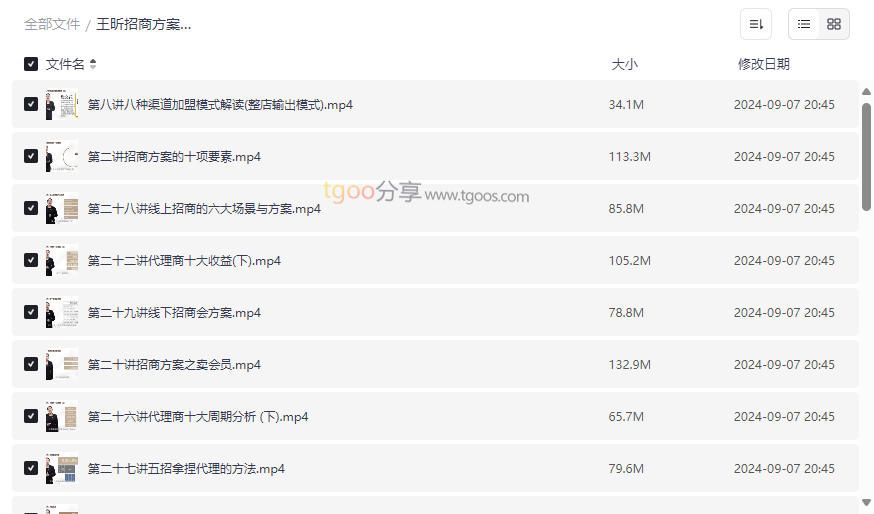 《王昕招商方案实战指南》免费网盘资源下载系统化招商培训与渠道拓展策略-云盘资源分享