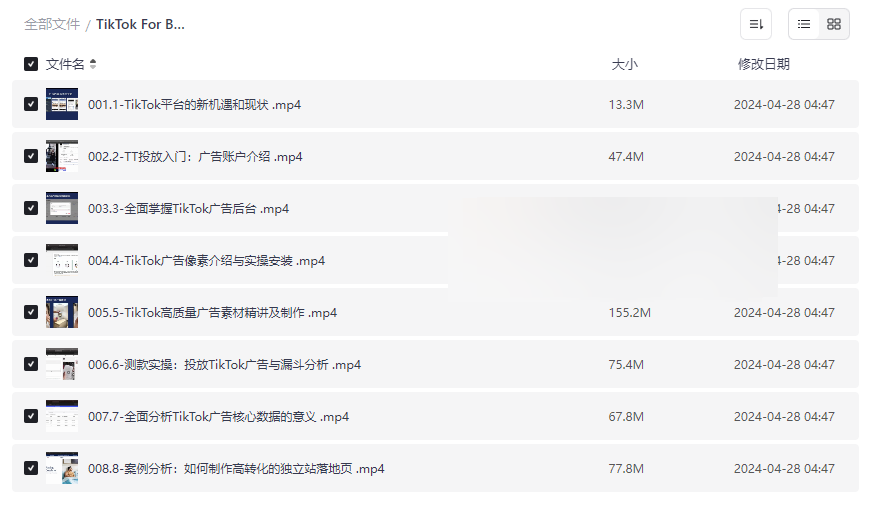 《TikTok广告实战教程》从零到精通的网盘资源下载-云盘资源分享