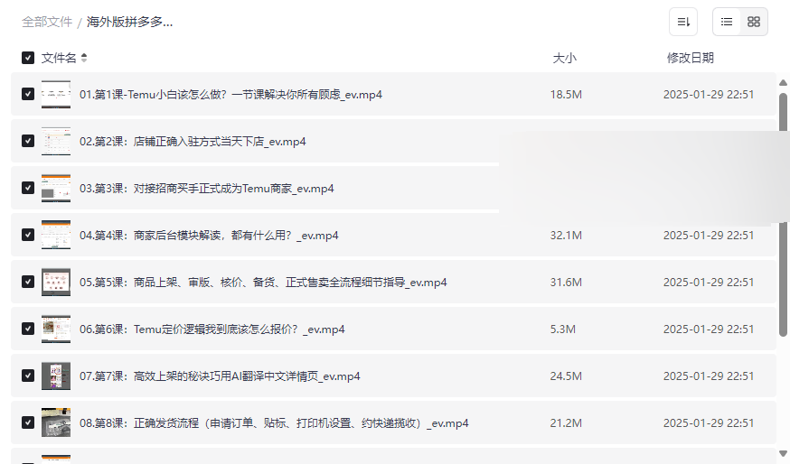 《Temu电商实操课》海外版拼多多从0到1开店运营全攻略网盘下载-云盘资源分享