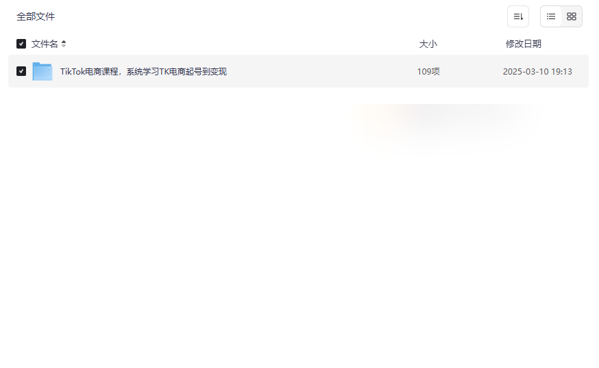 《TikTok电商全链路实操课程》免费网盘资源下载-云盘资源分享
