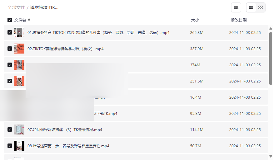 《TIKTOK海外短视频达人训练营》免费网盘资源下载跨境电商与内容创作者必备指南-云盘资源分享