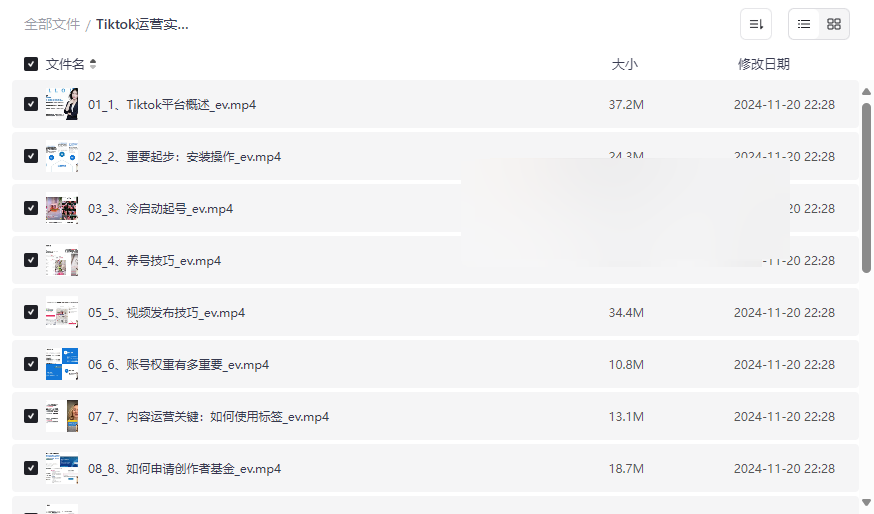《TikTok运营实操课程》从零到变现全流程网盘资源下载-云盘资源分享