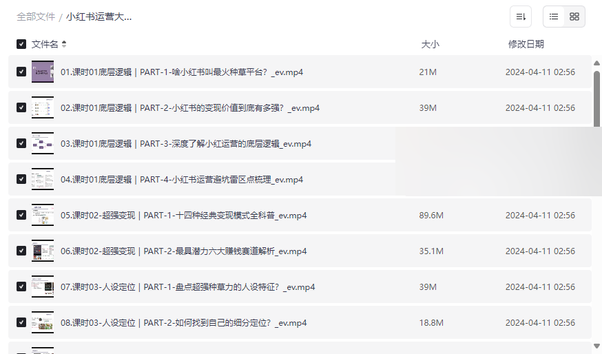 《小红书运营大宝典》免费网盘资源下载从零打造赚钱IP全攻略-云盘资源分享