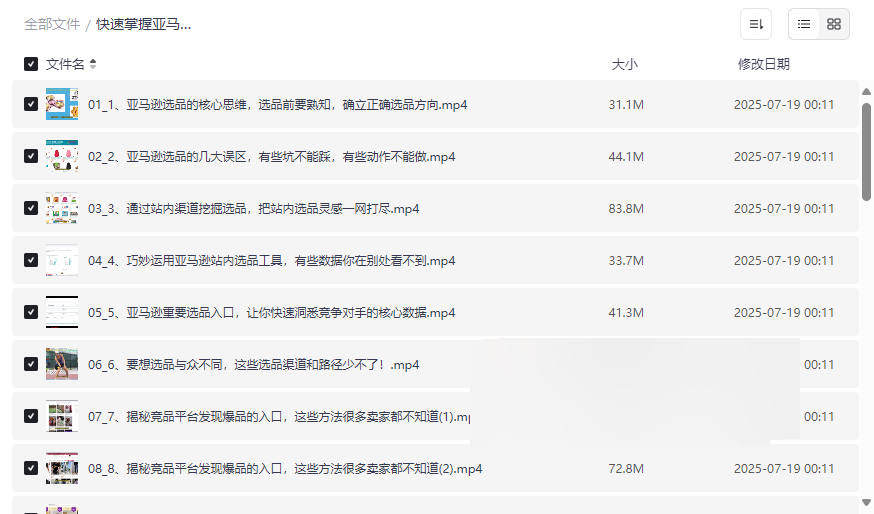 《亚马逊选品技巧实战指南》网盘资源免费下载-云盘资源分享