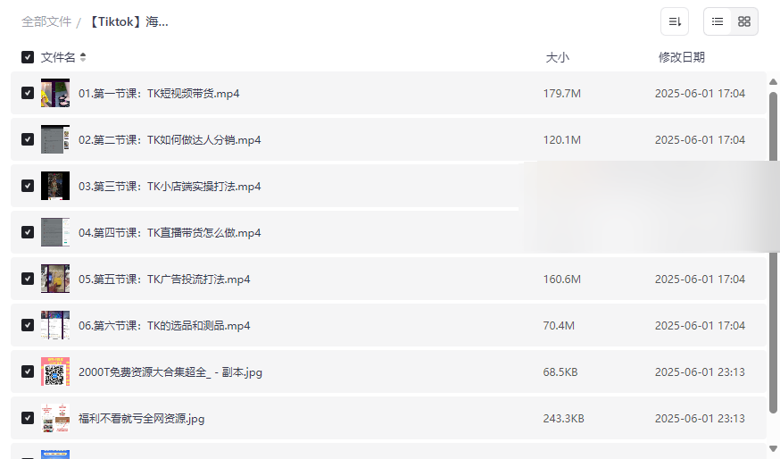 《Tiktok海外抖音变现实操课》系统网盘资源下载-跨境电商必备-云盘资源分享