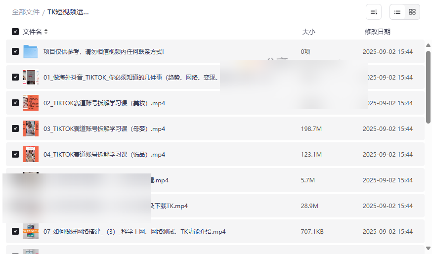 TK短视频运营全攻略：搭建制作发布变现实战教程网盘资源下载-云盘资源分享
