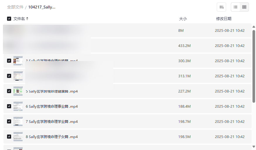《Sally玄学跨境Tiktok命理中英文课程》完整网盘资源下载-云盘资源分享