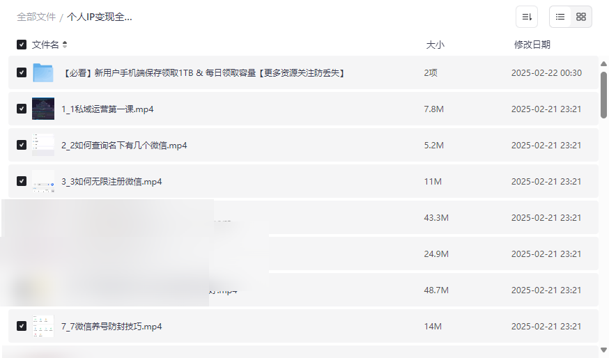 《个人IP变现全攻略私域运营》完整视频课程网盘资源下载-云盘资源分享