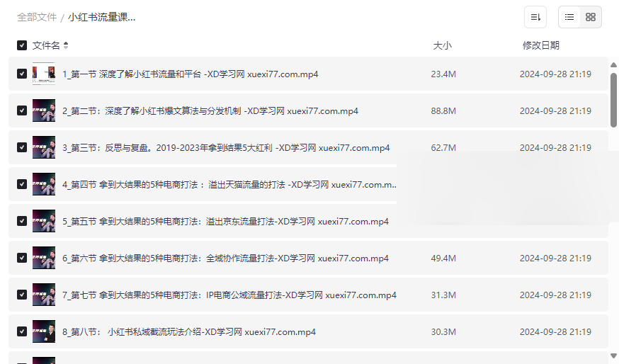 《小红书流量课玩转小红书》实战运营课程资源免费下载-云盘资源分享