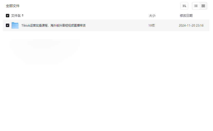 《TikTok运营实操课程》跨境电商与内容创作者必备网盘资源下载-云盘资源分享