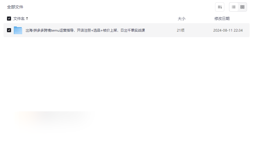 《拼多多跨境TEMU运营实战指南》免费网盘资源下载-云盘资源分享