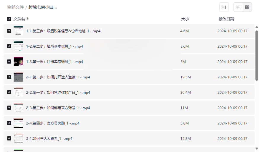 《TikTok跨境电商运营全链路实操资源包》零基础入门到精通指南-云盘资源分享
