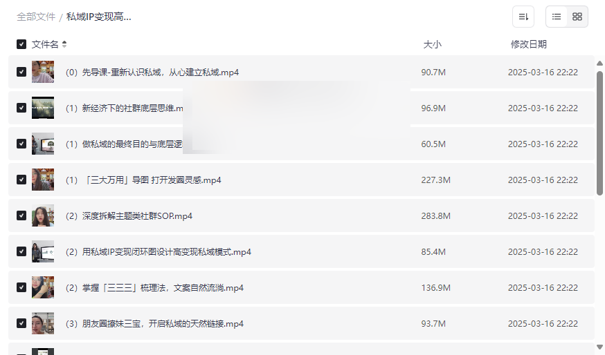 《私域IP变现高手课》实战型网盘资源合集免费下载-云盘资源分享