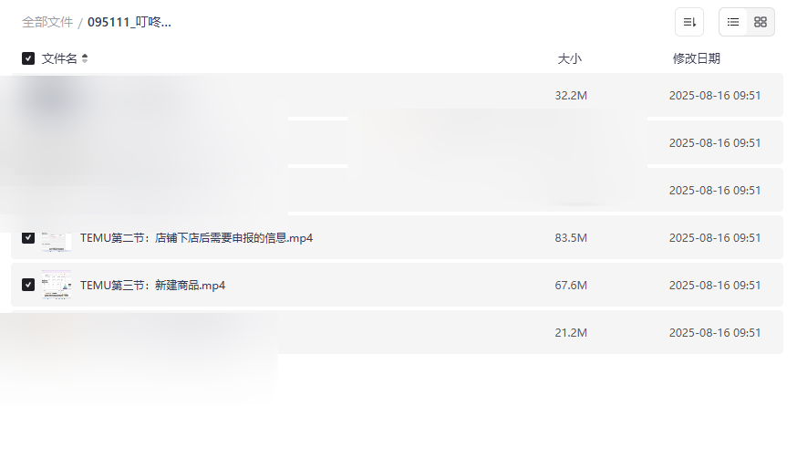 《叮咚跨境TEMU专栏》跨境电商运营实战课程网盘资源下载-云盘资源分享
