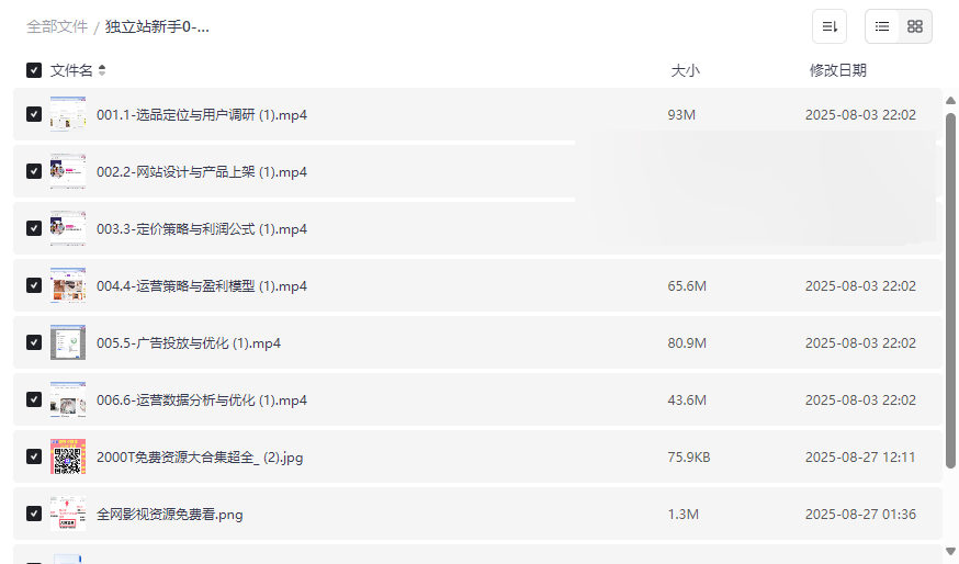 《独立站新手0-1运营教程》跨境电商入门网盘资源免费下载-云盘资源分享
