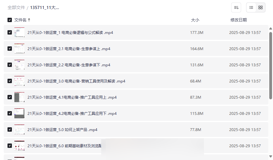 《电商运营从0到1实战指南》11大维度系统课程网盘资源下载-云盘资源分享