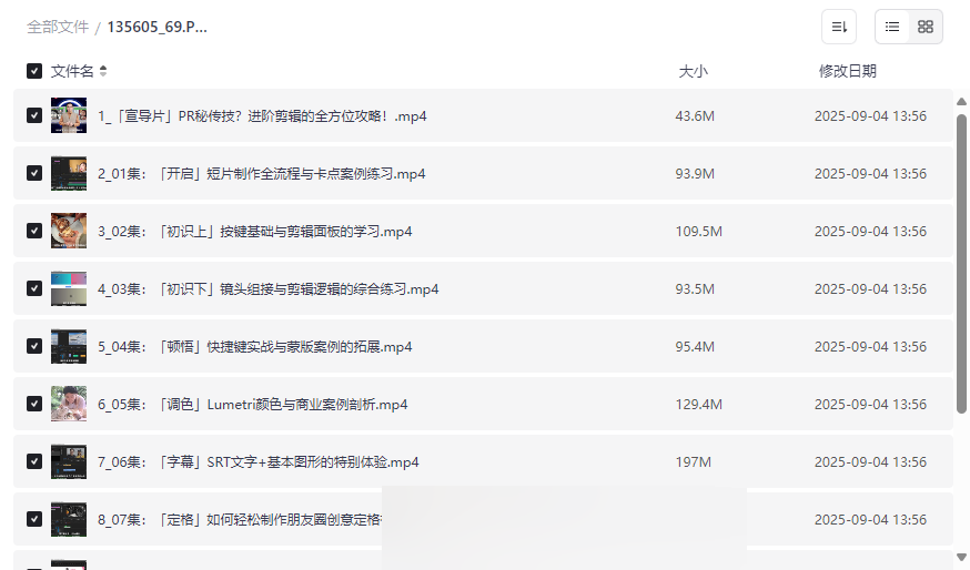 《PR秘传技:进阶剪辑全方位攻略》免费网盘资源下载-云盘资源分享