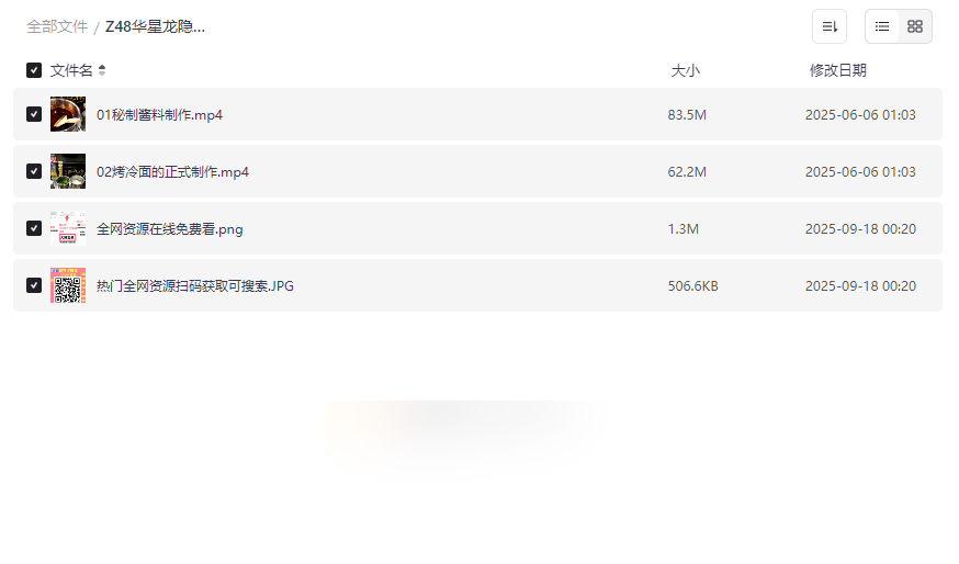 《华星龙隐烤冷面实体配方视频教程》免费网盘资源下载-云盘资源分享