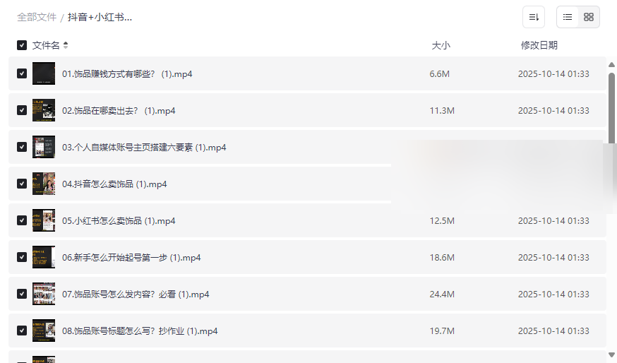 《抖音+小红书饰品卖货资源包》免费网盘下载-电商创业指南-云盘资源分享