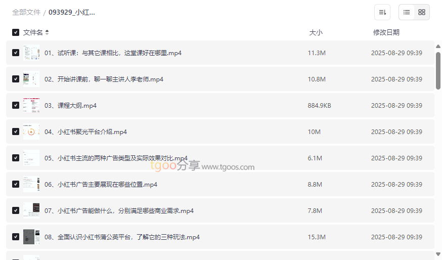《小红书聚光广告与乘风投放实战课》网盘资源免费下载-云盘资源分享