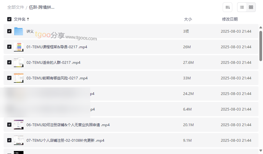 《伍跃·跨境拼多多TEMU实操与选品》27节完整课程网盘资源下载-云盘资源分享