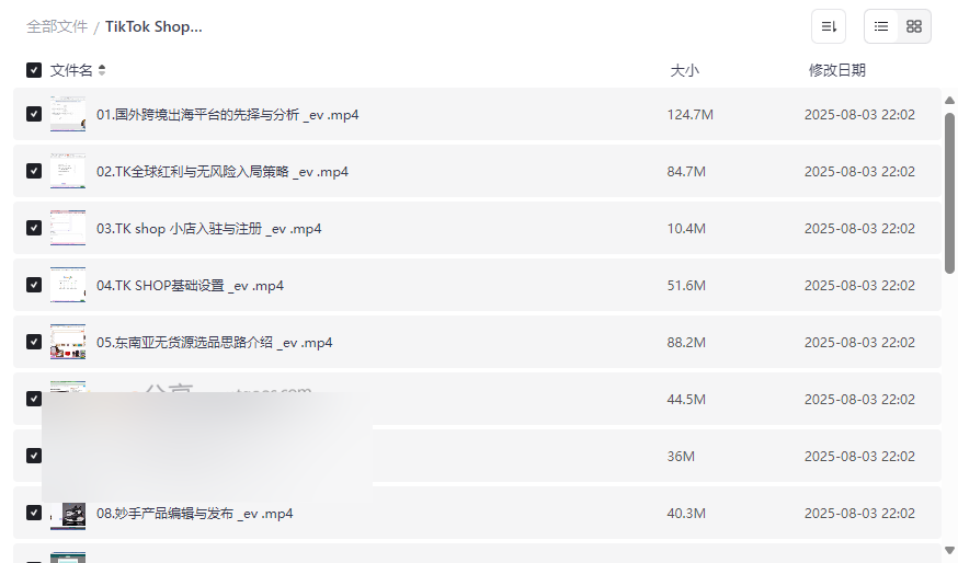 《TikTok Shop跨境电商实战教程》零基础到盈利全流程网盘资源下载-云盘资源分享