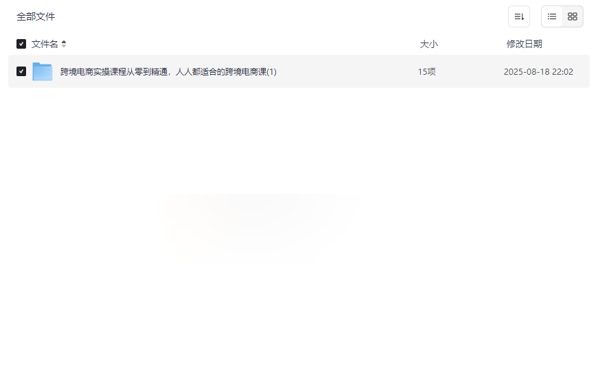 《跨境电商实操课程从零到精通》免费网盘资源下载-云盘资源分享
