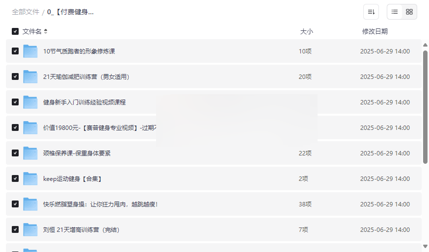 《付费健身VIP课程合集》网盘资源下载新手到专家全阶段训练指南-云盘资源分享