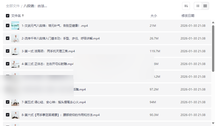 《文武八段锦完整教学》高清网盘资源下载 | 传统养生功法系统学习-云盘资源分享
