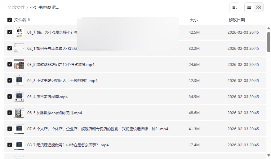 《小红书电商运营实战指南》从入门到精通系统课程网盘资源下载-云盘资源分享
