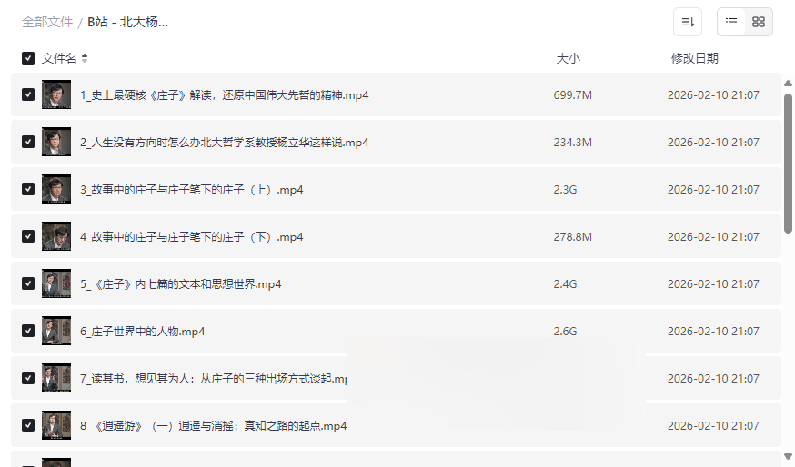 北大杨立华教授《庄子哲学》精讲视频全集下载 | 道家思想权威解读-云盘资源分享