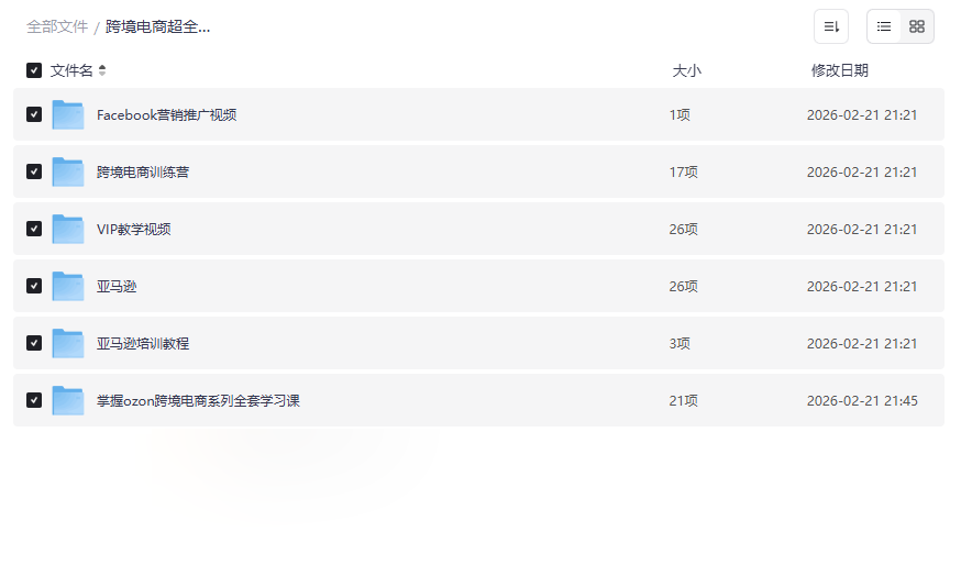 亚马逊TikTok Ozon跨境电商教程网盘资源合集 | 零基础入门到高阶运营-云盘资源分享