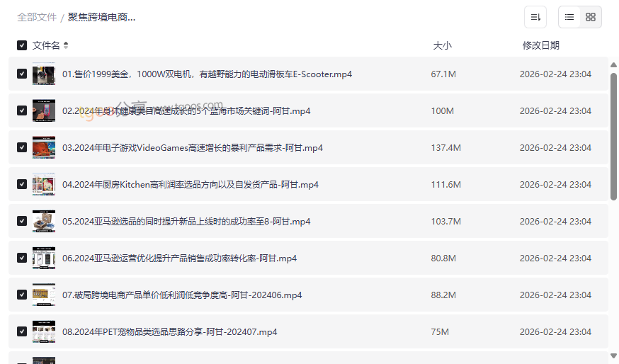 《2024-2025跨境电商蓝海选品与运营实战课》阿甘18期核心课程网盘下载-云盘资源分享